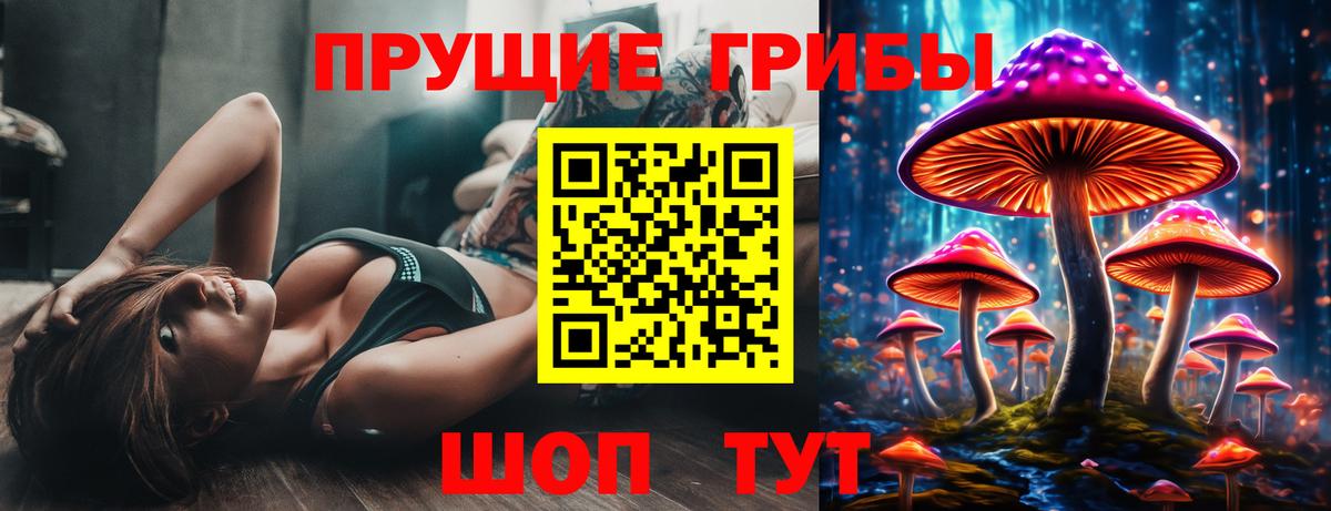 Псилоцибиновые грибы GOLDEN TEACHER  дарнет шоп  Полевской  Вход с VPN  Галлюциногенные грибы GOLDEN TEACHER 