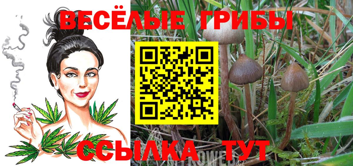 Галлюциногенные грибы прущие грибы Полевской
